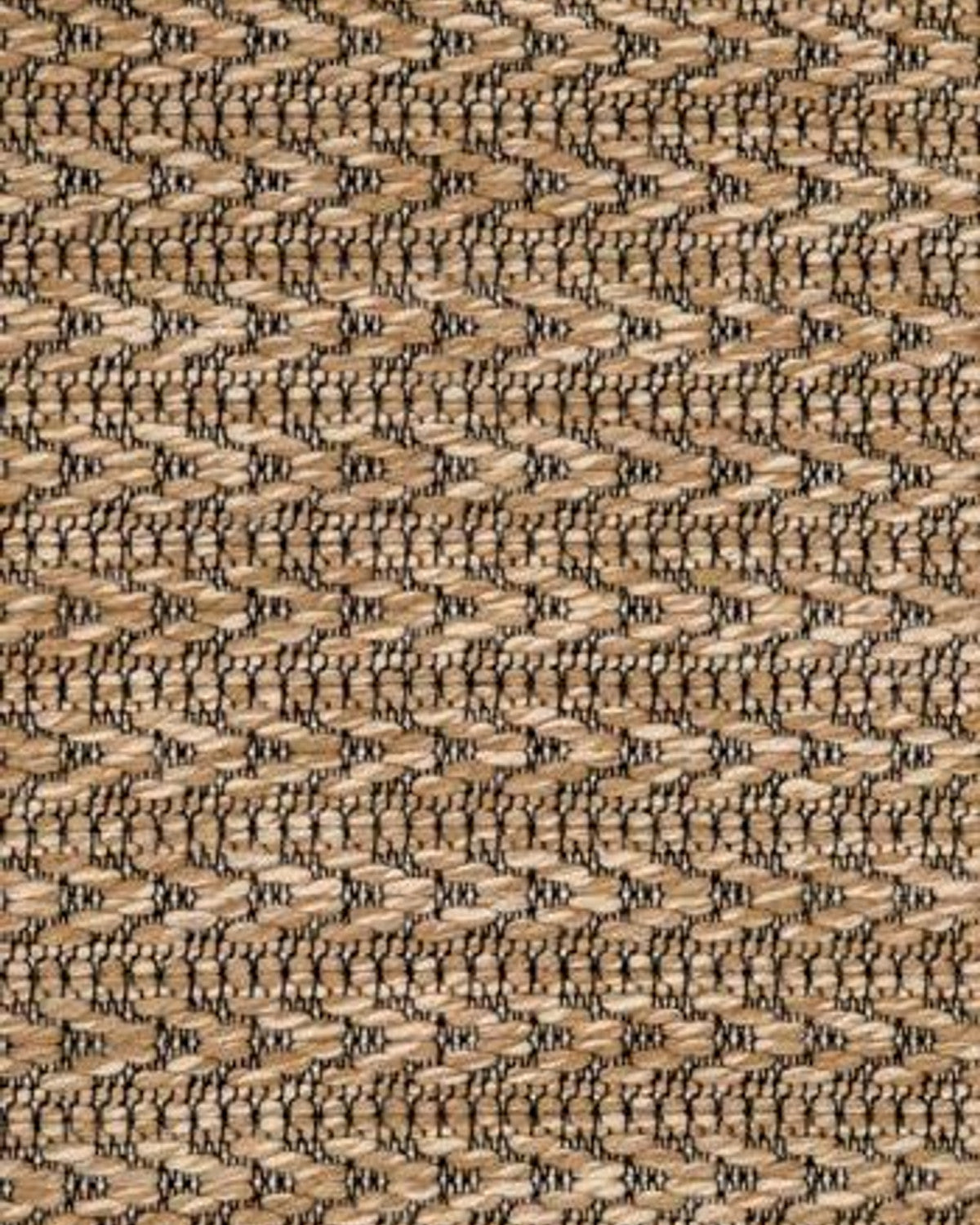 SARI 2019R Negro/Crema